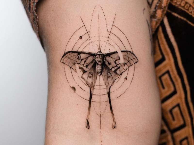 moth tattoo meaning 