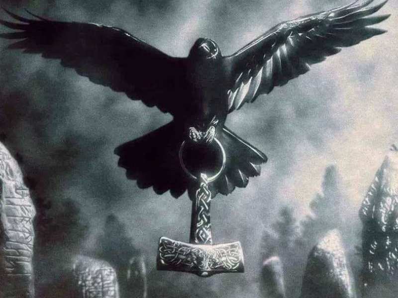 Raven Symbolize for Vikings