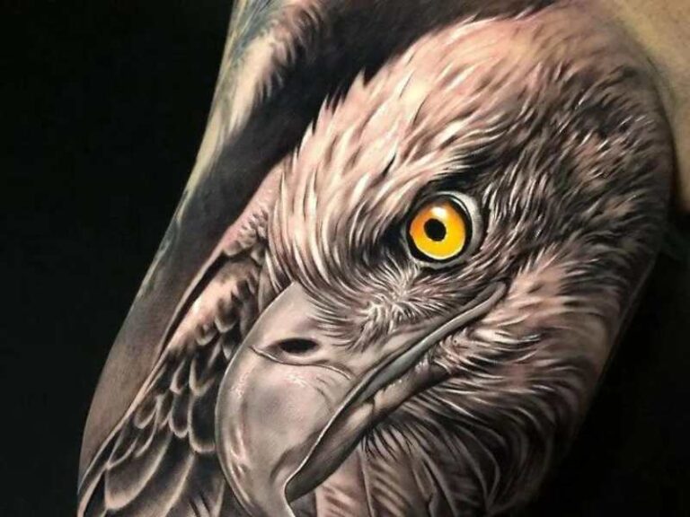 Hawk Tattoo meaning