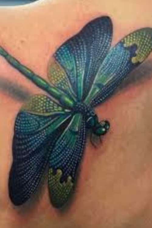 Realistic Dragonfly tattoo meaning 