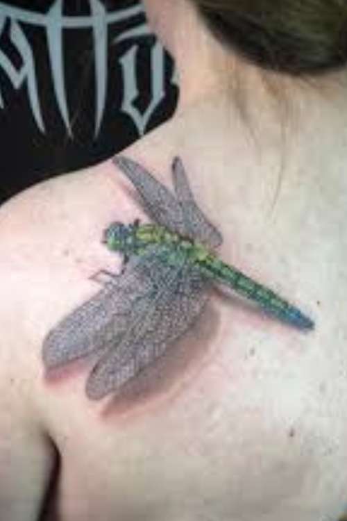 Realistic Dragonfly tattoo meaning 