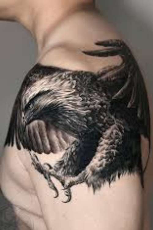 Realistic Hawk Tattoo