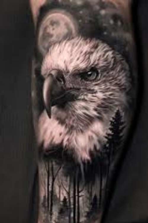 Realistic Hawk Tattoo