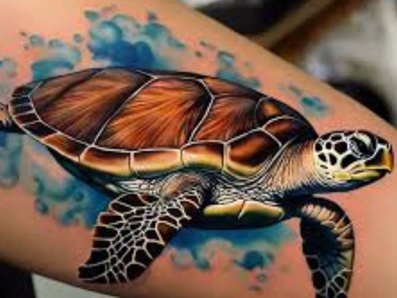 Meaning of Sea Turtle Tattoos