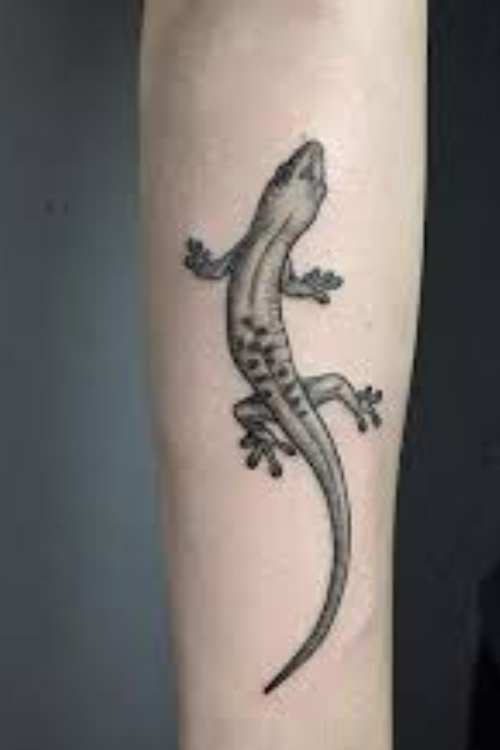 Gecko Lizard Tattoos