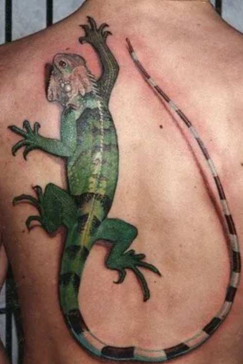 Iguana Lizard Tattoos meaning