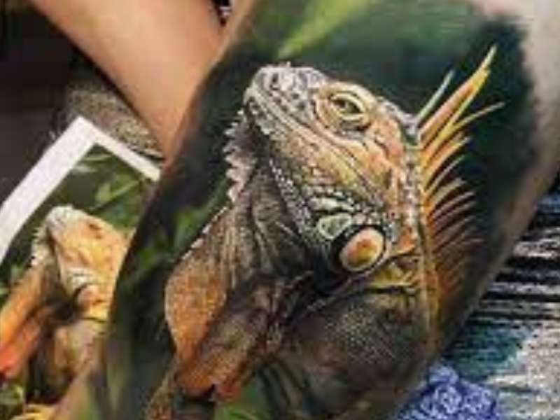 Iguana Lizard Tattoos meaning