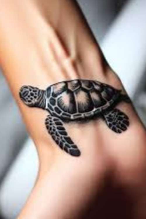 Cute Tattoo Ideas Sea Turtle Tattoos