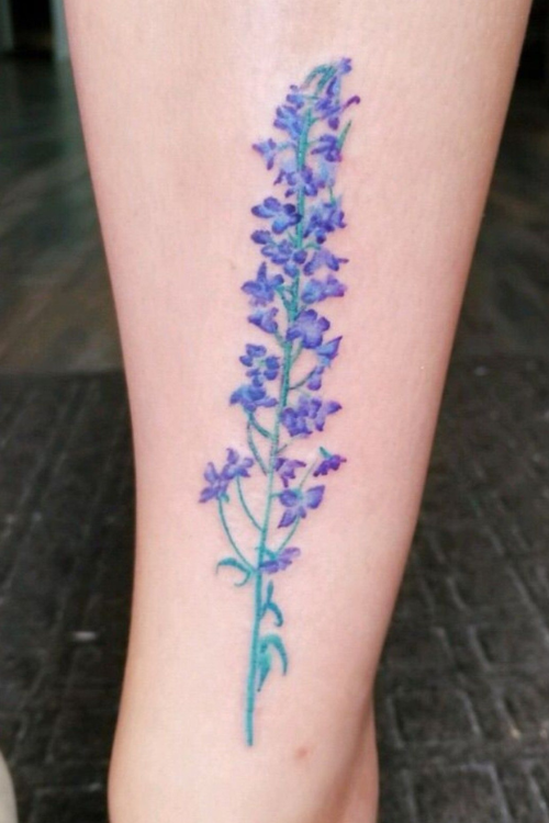 Larkspur tattoo meaning 