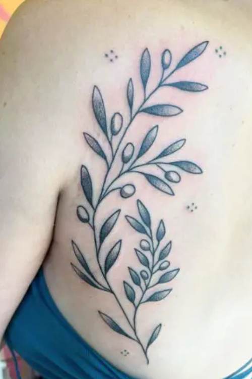 Olive Branch Tattoo